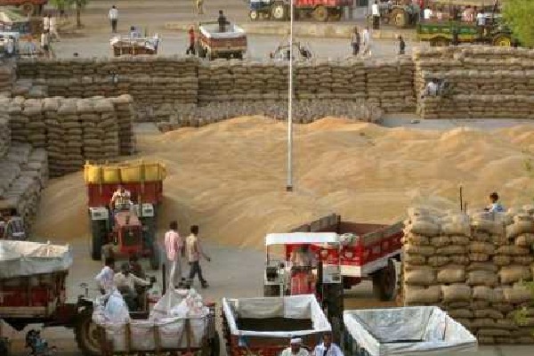 Paddy procurement to continue till last grain, says Telangana DyCM