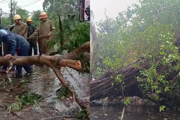 Moderate impact of Cyclone Remal in coastal Bengal, high alert continues