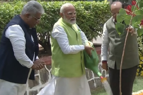 On World Environment Day, PM Modi's 'Ek Ped Maa Ke Naam' campaign