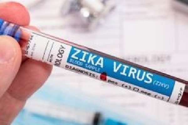 Karnataka govt asks DCs to be vigilant against Zika virus spread along with dengue