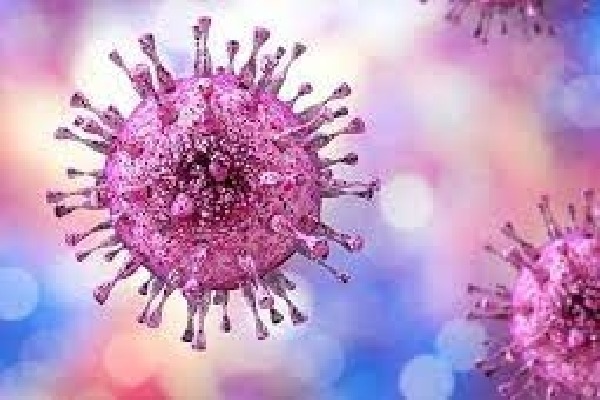 This symptomless herpes virus can harm newborns, organ transplant &
 HIV patients