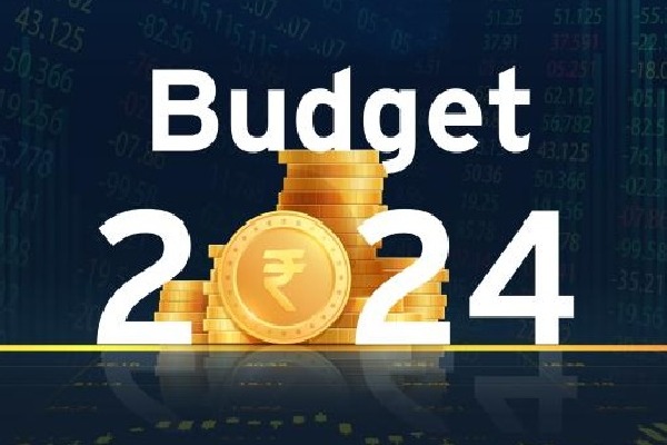 Union Budget: Infra push, structural reforms for sustainable growth
 key industry wish-list