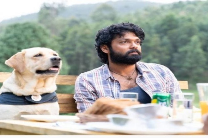 FIR filed against Kannada film star Rakshit Shetty for copyright violation