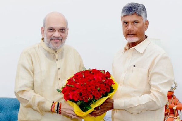 Centre, Andhra Pradesh will devise recovery plan: Chandrababu Naidu