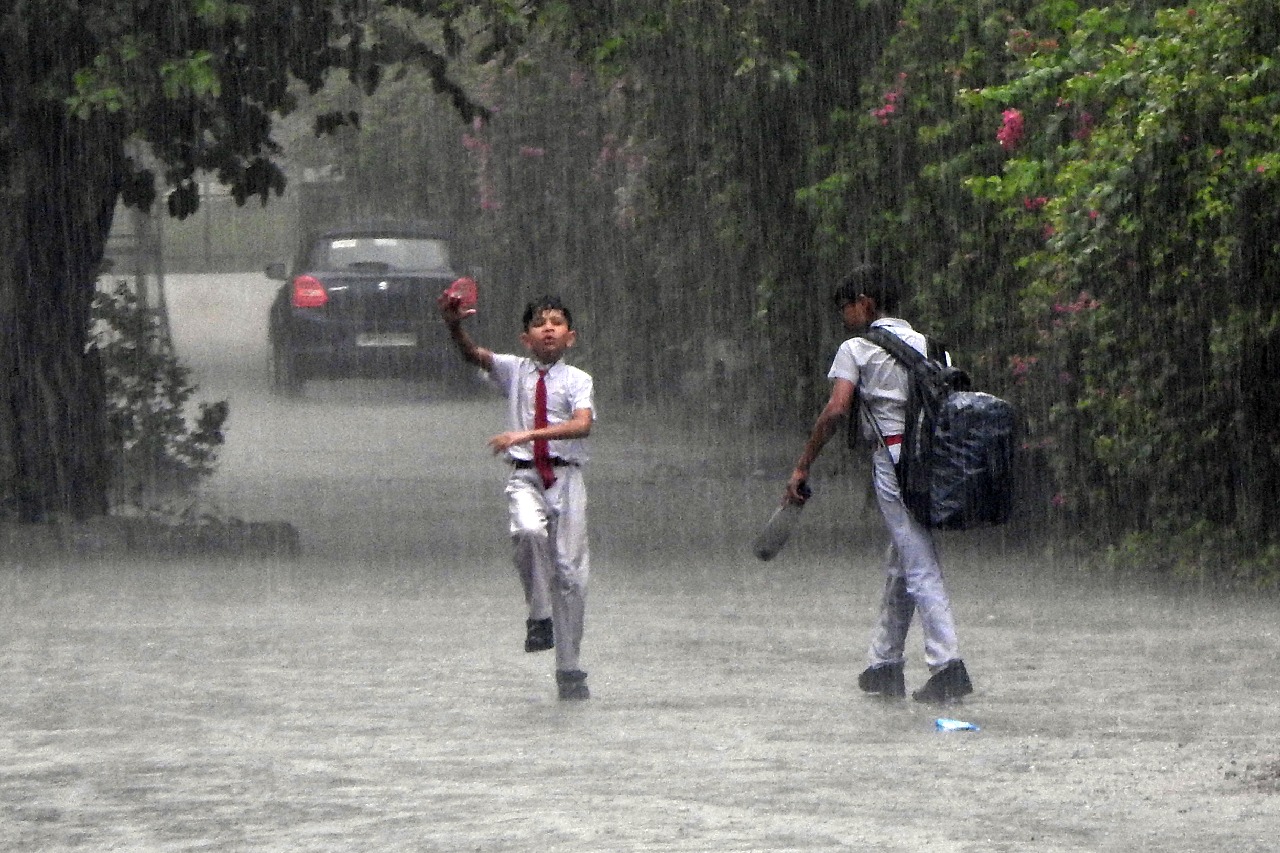 Monsoon to be active in peninsular & central India for next 5 days: IMD