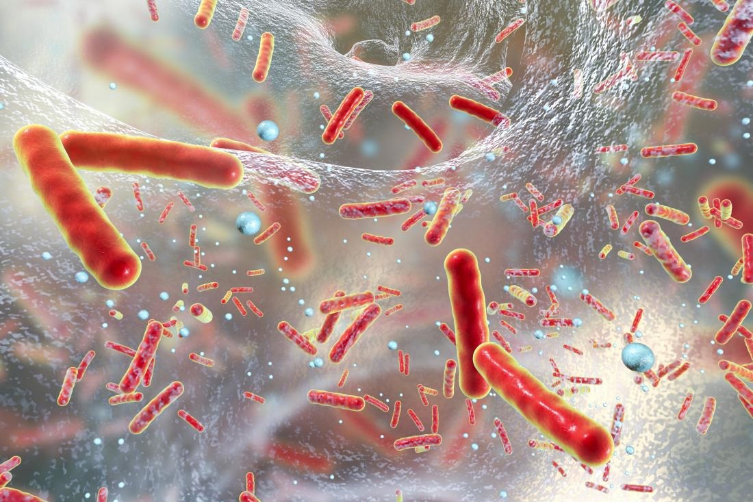 New antibiotic may make bacterial resistance nearly impossible