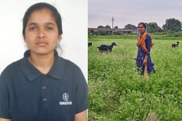 Telangana CM helps tribal girl, forced to herd goats despite securing IIT seat