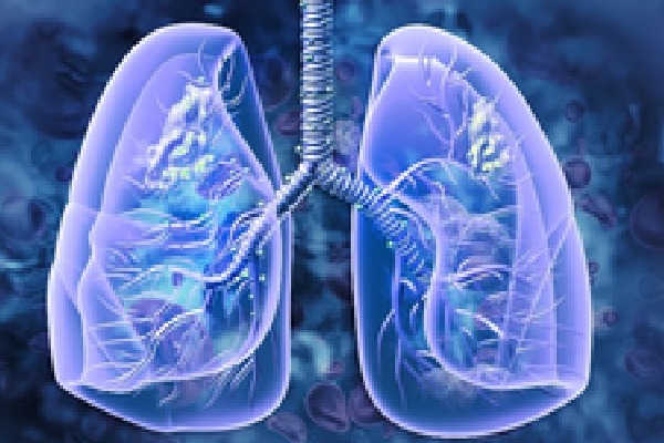 This Chinese medicinal fungus may help treat chronic lung disease