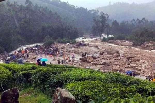 Wayanad landslide toll reaches 84; Kerala declares two-day mourning