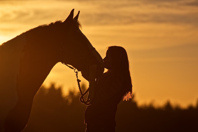 Studying horse miscarriages may explain early human pregnancy loss: Study