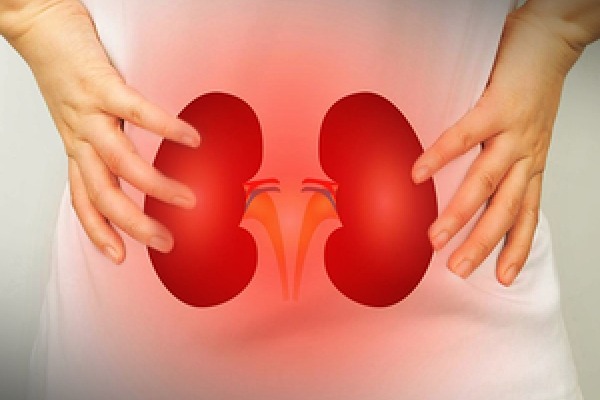 Liquid biopsy could prevent kidney transplant rejections, new study shows