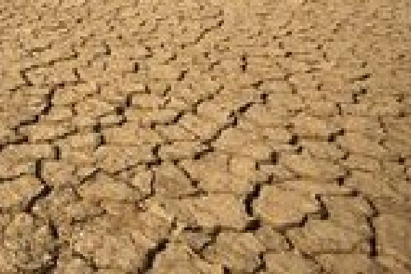 Over half of harvest destroyed due to 'historic' drought in Zimbabwe: UN