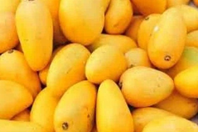 Pakistan exports mangoes to 42 countries, UK largest importer