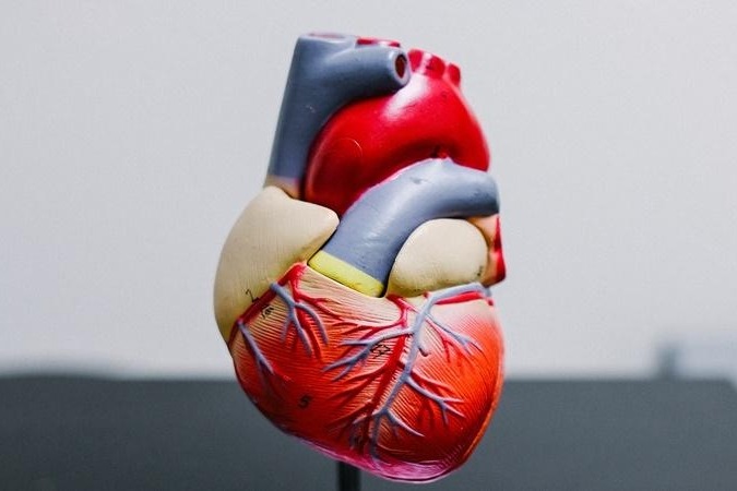 Study shows kidney, diabetes drug may boost survival in heart failure patients