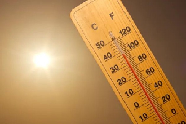 World records hottest August with 2024 poised to be warmest year