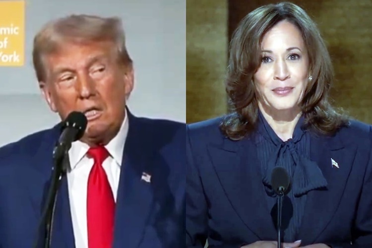 Trump was fired by 81 million voters in 2020, says Harris