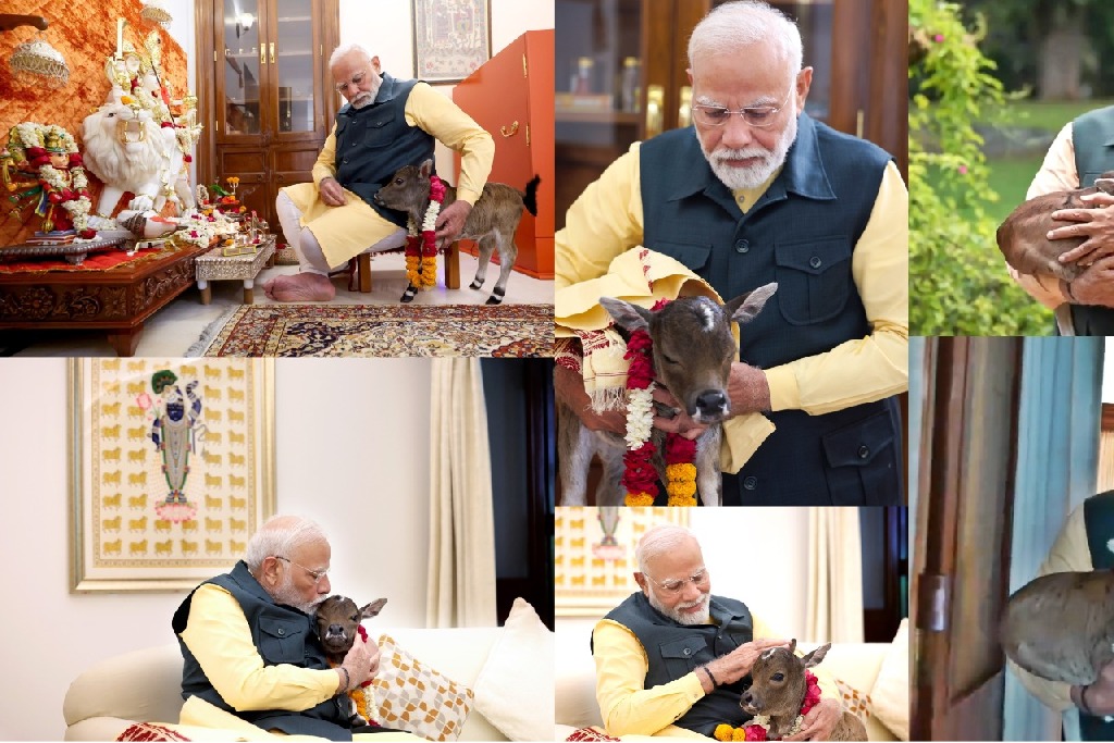 PM Modi has a new member at his residence, Deepjyoti