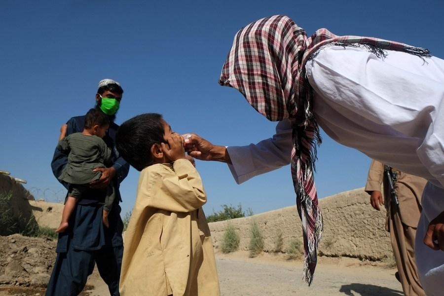 Taliban suspends polio vaccination in Afghanistan: UN