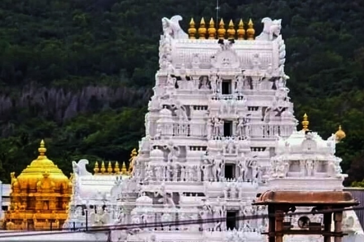 Lab report confirms presence of animal fat in Tirumala laddu, claims TDP