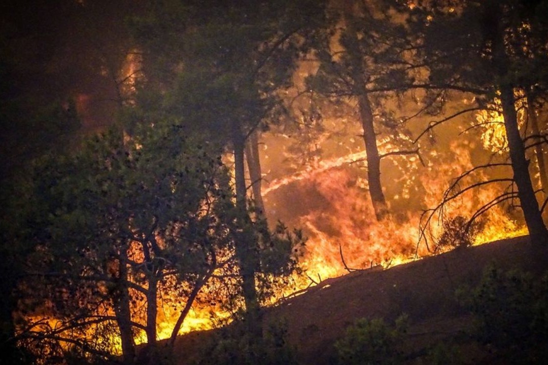 Death toll from Peru's forest fires rises to 18