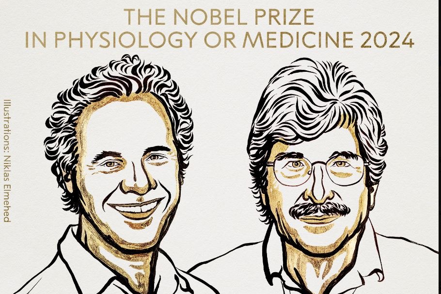 US scientists awarded 2024 Nobel Prize in Medicine for microRNA discovery