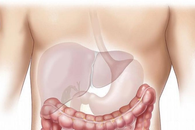 Japanese study shows gut hormones key to fight fatty liver disease