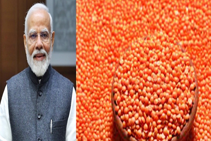 Rise in MSP of Rabi crops to make farmers' lives easier: PM Modi