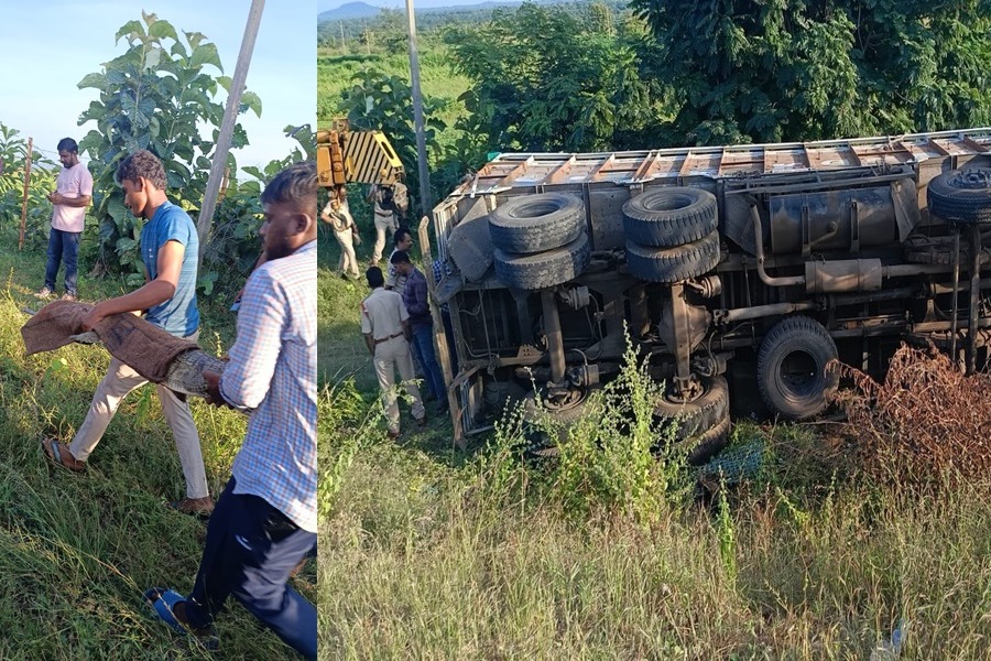 Truck carrying wild animals overturn sin Telangana, escaped crocs recaptured