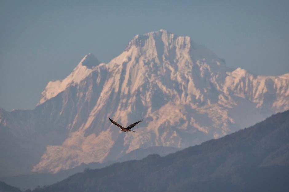 870 climbers allowed to scale 37 peaks in Nepal