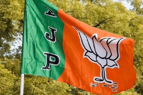 BJP names 40 star campaigners for Bihar bypolls