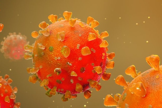 How Covid virus defeats body’s immune response