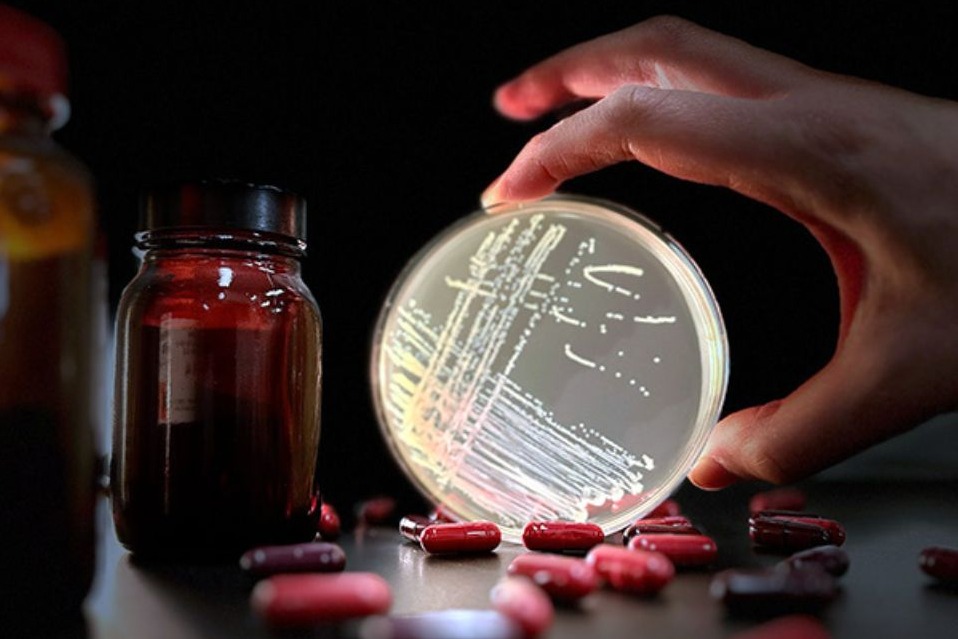 Study links common antibiotic to rise of dangerous superbug