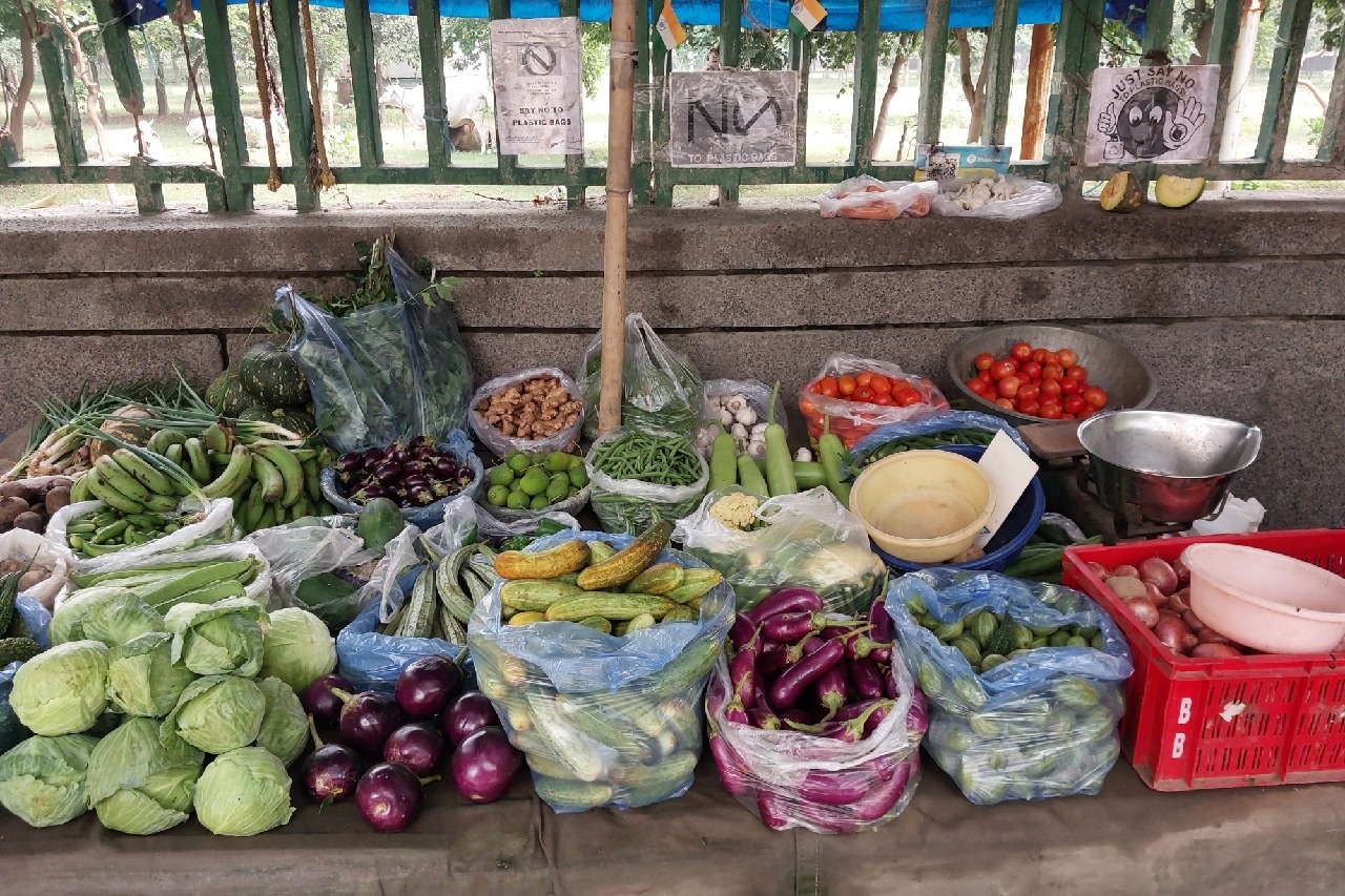 Vegetable prices sky-high in Bengal’s retail markets ahead of Diwali