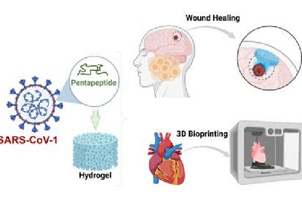 Indian scientists develop method to create hydrogels to boost drug delivery