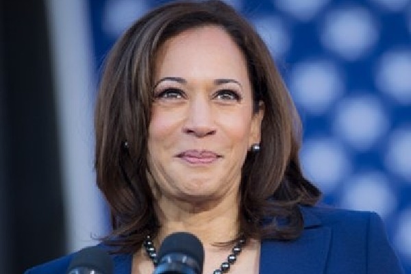 Harris parts with Biden in closing remarks, promises a protective presidency