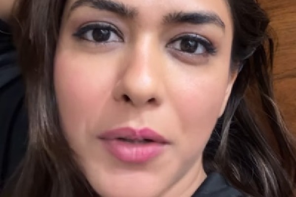 Mrunal Thakur schools fan, later apologises