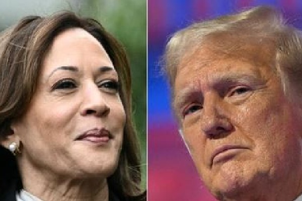 Trump, Harris locked in tight race for the White House: Polls