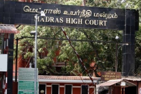 Madras HC allows veterinarian to visit infant monkey he cared for ten months