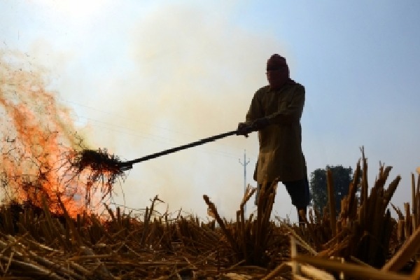 Centre doubles penalty for stubble burning amid rising air pollution in Delhi-NCR