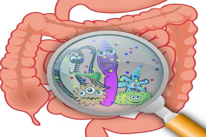 Gut microbiome changes may signal onset of rheumatoid arthritis