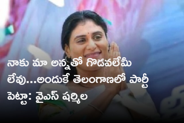 ys sharmila says no differences with his brother ys jagan mohan reddy