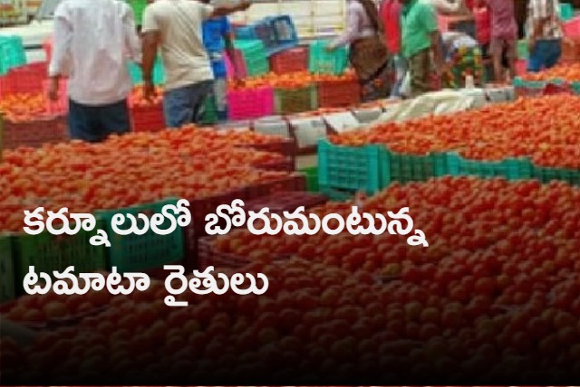 Kilo Tomato for Rs 2 in Kurnool market