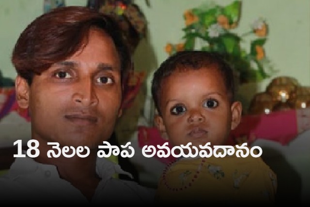 Family of brain dead 18 month old girl donates organs