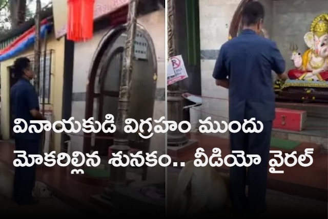 Dog bows down pays respect to Lord Ganesha   Video is viral