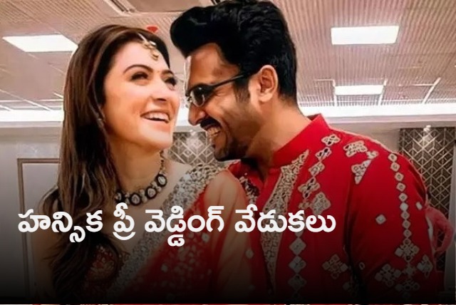 hansika and sohael pre wedding celebrations