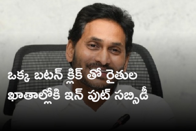 Jagan deposits input subsidy into farmers account