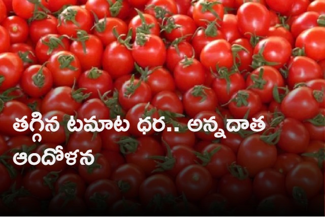 Tomato prices have dropped in Andhra Pradesh and Telangana