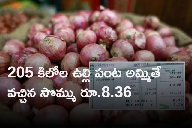 Karnataka farmer earns Rs 8 for 205 kg of onions after travelling 415 km