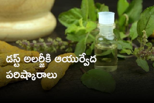 Ayurvedic remedies to get relief from dust allergy