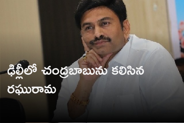 Raghurama Krishna Raju met Chandrababu in Delhi